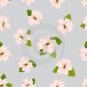 Spring cherry blossoms.ÃÂ Seamless pattern with JapaneseÃÂ sakura. Pink flowers on gray background. RomanticÃÂ Vector illustration